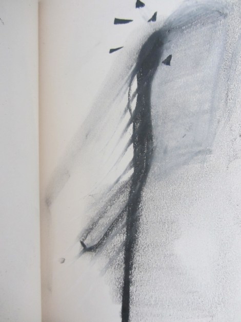 Diario febrero-marzo 2013