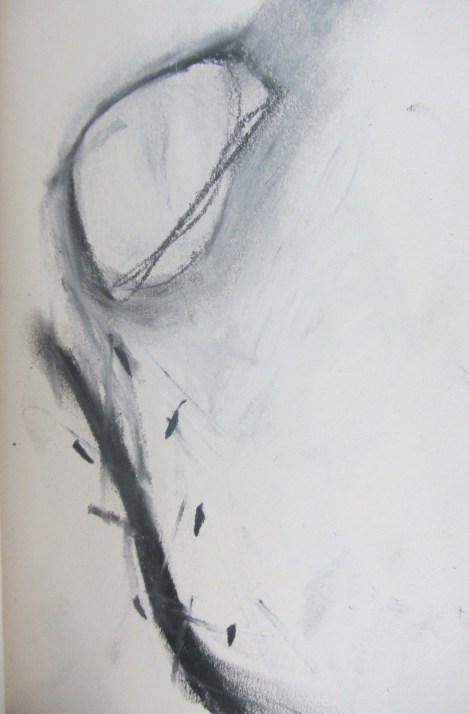 Sketchbook febrero-marzo 2013, Laura Barbuto.