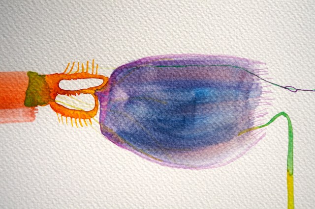 Wired 9 (detail), Laura Barbuto.