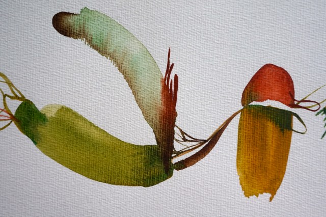 Verde 2, detail, Laura Barbuto, 2013.