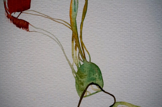 Verde 4 (yendo), detail, Laura Barbuto, 2013.