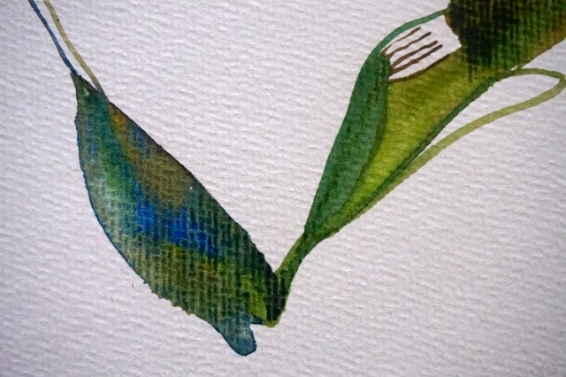 Verde 5 (el baile), detail, Laura Barbuto, 2013.